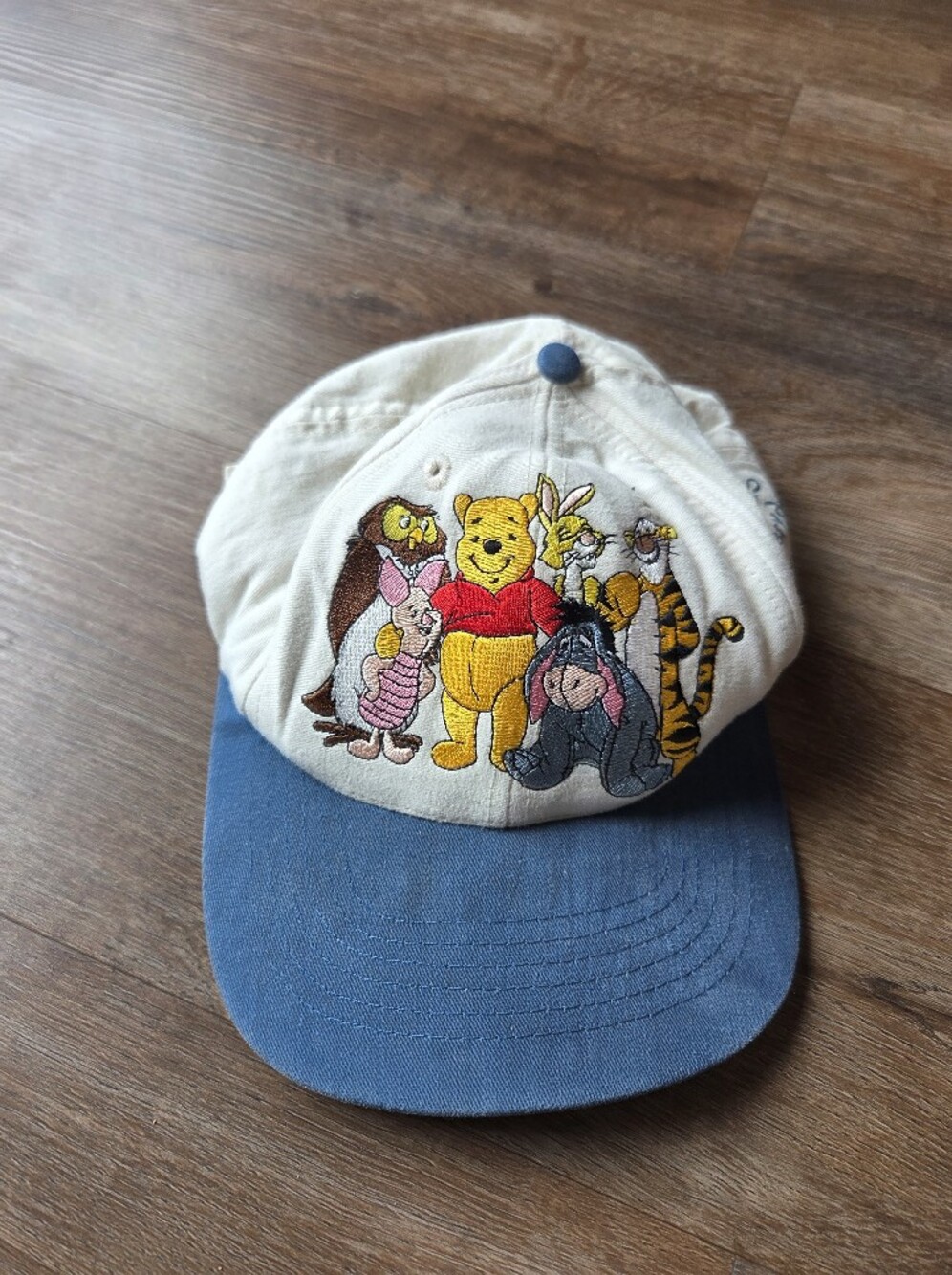 Vintage Disney Winnie The Pooh Embroidered Adult Baseball Hat Cap Goofys Hat Co